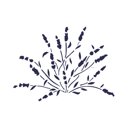 Le Cours de Français